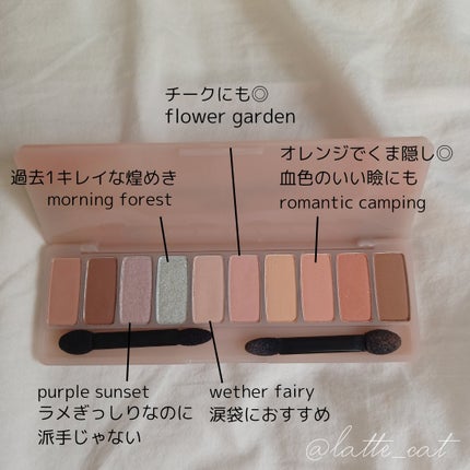 プレイカラー アイシャドウ グッドモーニングキャンプ/ETUDE/アイシャドウパレットの画像
