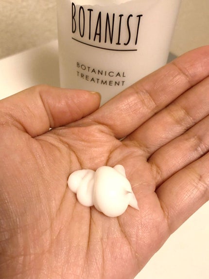 プレミアム ボタニカルシャンプー・トリートメント(ベロアモイスト) シャンプー 300ml/BOTANIST/市販シャンプーの画像