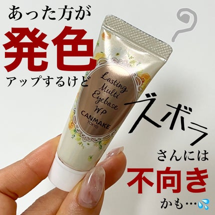 ラスティングマルチアイベース WP/キャンメイク/アイシャドウベースを使ったクチコミ(1枚目)
