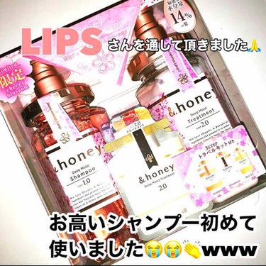 ディープモイスト 限定チェリーブロッサム シャンプー＆ヘアトリートメントペアセット/&honey/シャンプー・コンディショナーの画像