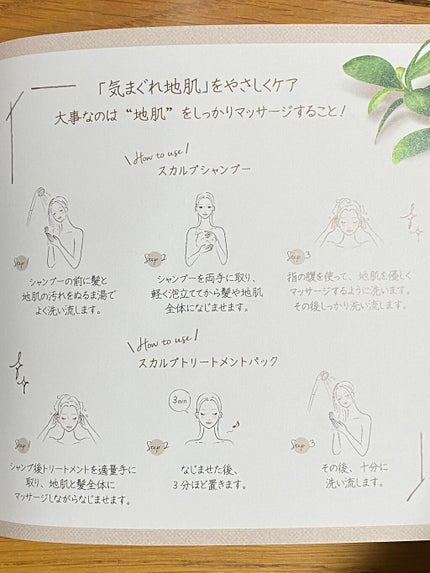 スカルプD ボーテ ナチュラスター スカルプシャンプー/トリートメントパック/アンファー(スカルプD)/シャンプー・コンディショナーを使ったクチコミ(3枚目)