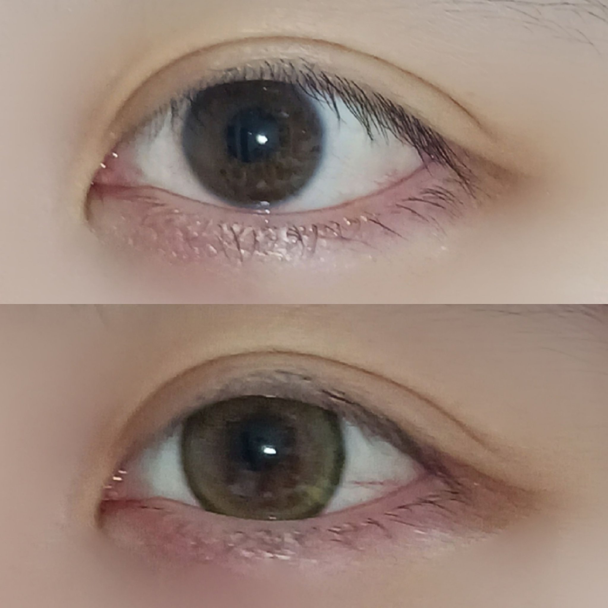 Flurry Monthly ライトカーキブラウン(もっと褒められパンダ)/Flurry by colors/１ヶ月（１MONTH）カラコンを使ったクチコミ（2枚目）