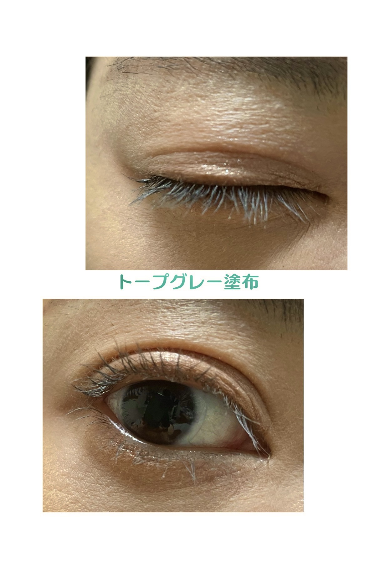 クイックラッシュカーラー TG トープグレー/キャンメイク/マスカラ下地を使ったクチコミ（3枚目）