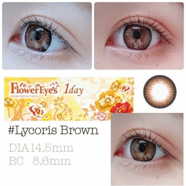 ◎FlowerEyes(フラワーアイズ)◎
    1day
    LycorisBrown(リコリスブラウン)

   DIA14.5    BC8.6   含水率38.5％
   着色直径14.0