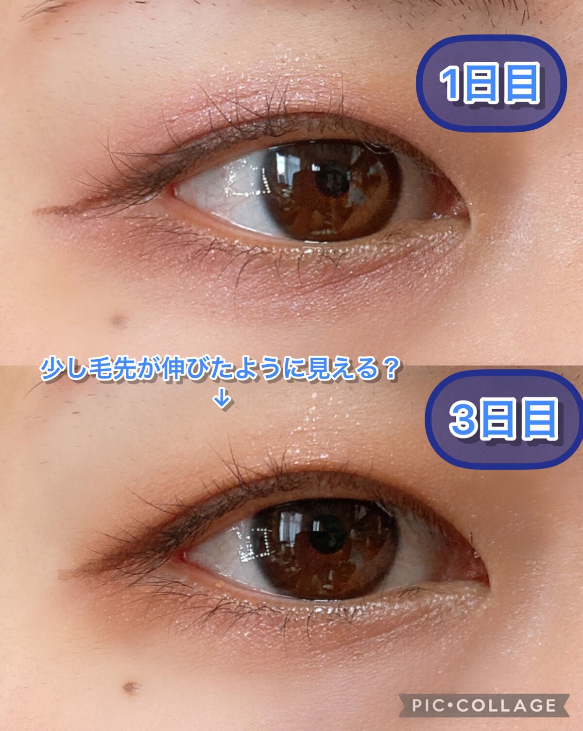 マジックティント/MAJOLICA MAJORCA/マスカラを使ったクチコミ(4枚目)