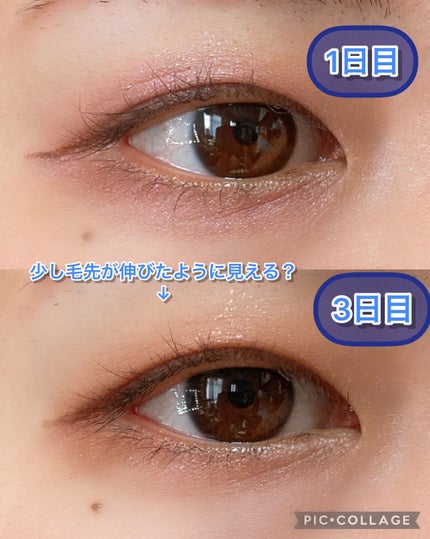 マジックティント/MAJOLICA MAJORCA/マスカラを使ったクチコミ(4枚目)