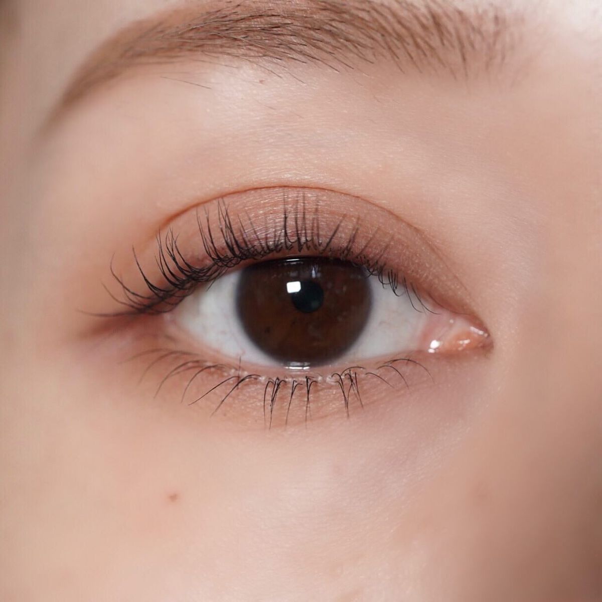 パーフェクトマルチアイズ/キャンメイク/アイシャドウパレットを使ったクチコミ（3枚目）