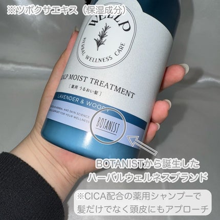 薬用スカルプケアシャンプー/トリートメント モイスト/WELLP/市販シャンプーを使ったクチコミ(3枚目)