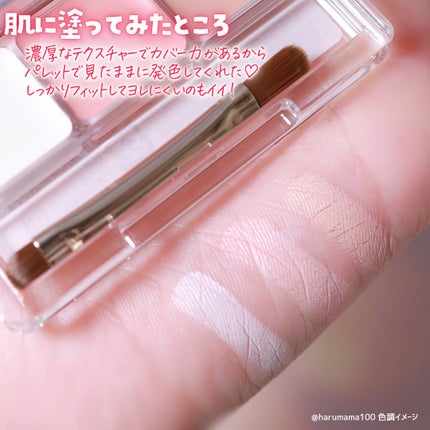 パレットコンシーラー ハイカバー/CEZANNE/パレットコンシーラーを使ったクチコミ(4枚目)