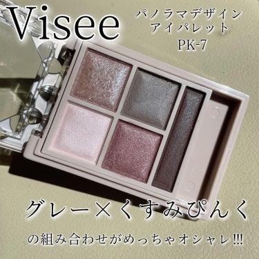 パノラマデザイン アイパレット/Visée/パウダーアイシャドウを使ったクチコミ（2枚目）