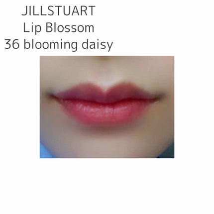 リップブロッサム/JILL STUART/口紅を使ったクチコミ(2枚目)