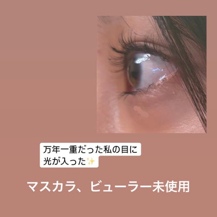 ラッシュジェリードロップ EX/MAJOLICA MAJORCA/まつげ美容液を使ったクチコミ(3枚目)