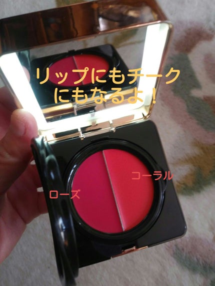 DUAL LIGHT CUSHION FOUNDATION 23 ロージーベージュ(ふつう肌)/Faistar/クッションファンデーションの画像