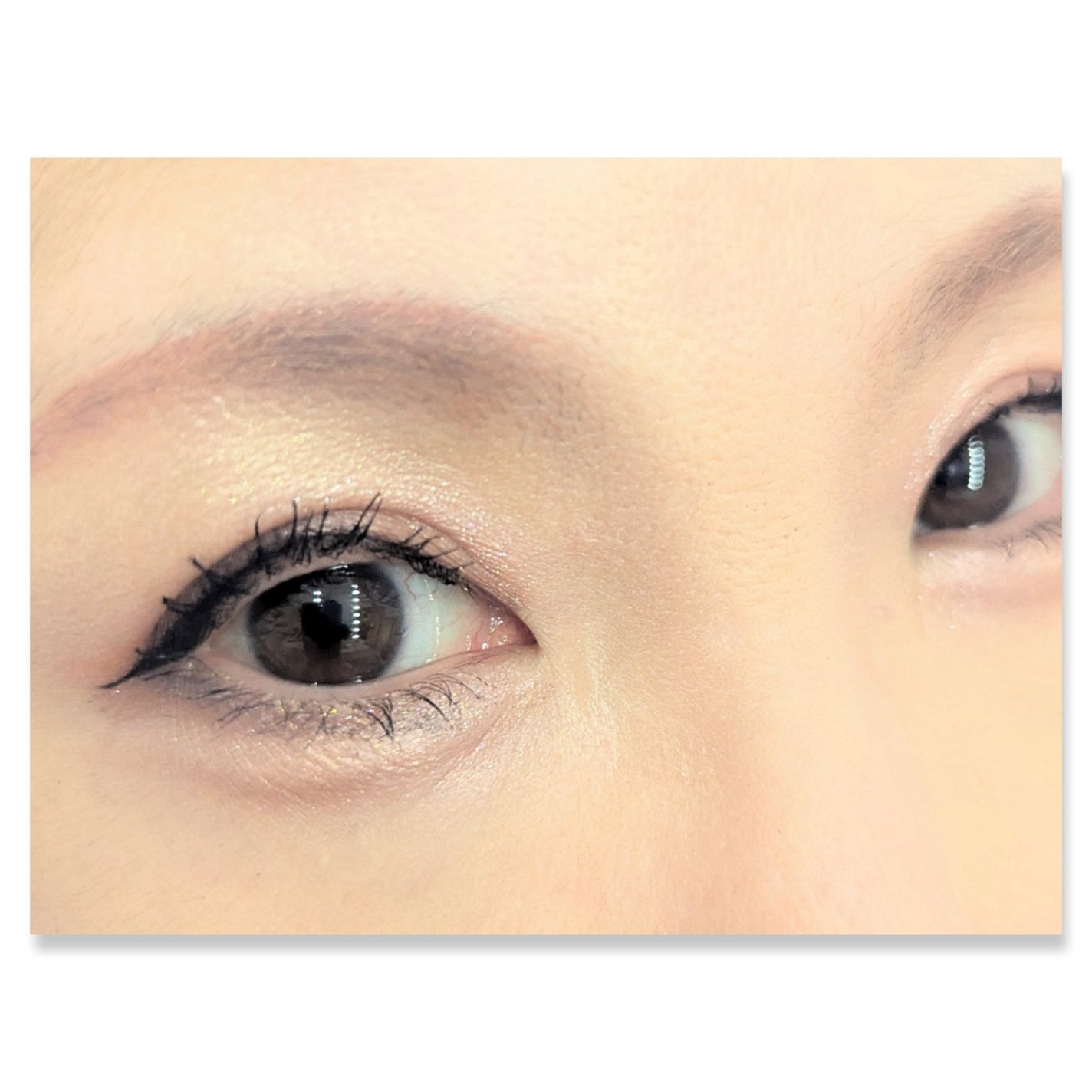 長相思シリーズ 9色アイシャドウパレット/CATKIN/アイシャドウパレットを使ったクチコミ(2枚目)