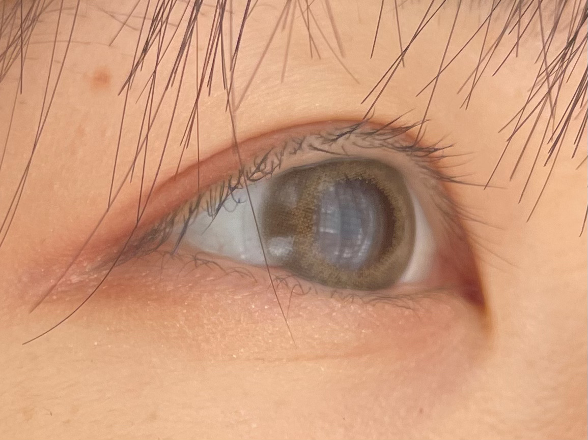 FLANMY 1day ホウジチャバーム/FLANMY/ワンデー（１DAY）カラコンを使ったクチコミ（2枚目）