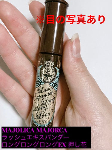 ラッシュエキスパンダー ロングロングロング EX BR606 ラズベリーブラウン 押し花/MAJOLICA MAJORCA/マスカラを使ったクチコミ（1枚目）