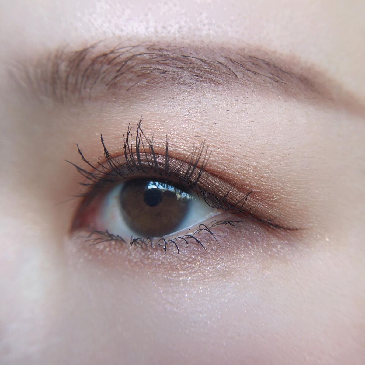 あゆみ on LIPS 「・\#todaysmake/・アイシャドウ☑@celefit...」(3枚目)