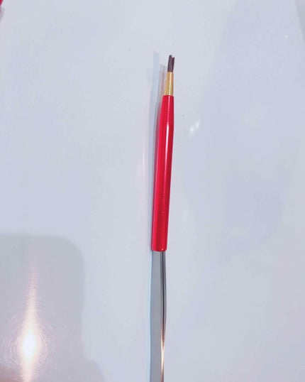 オペラ リップティント N/OPERA/リップティントを使ったクチコミ(3枚目)