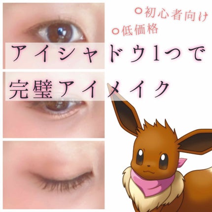 ブロー&ラッシュ カラーリスト/MAJOLICA MAJORCA/マスカラを使ったクチコミ(1枚目)