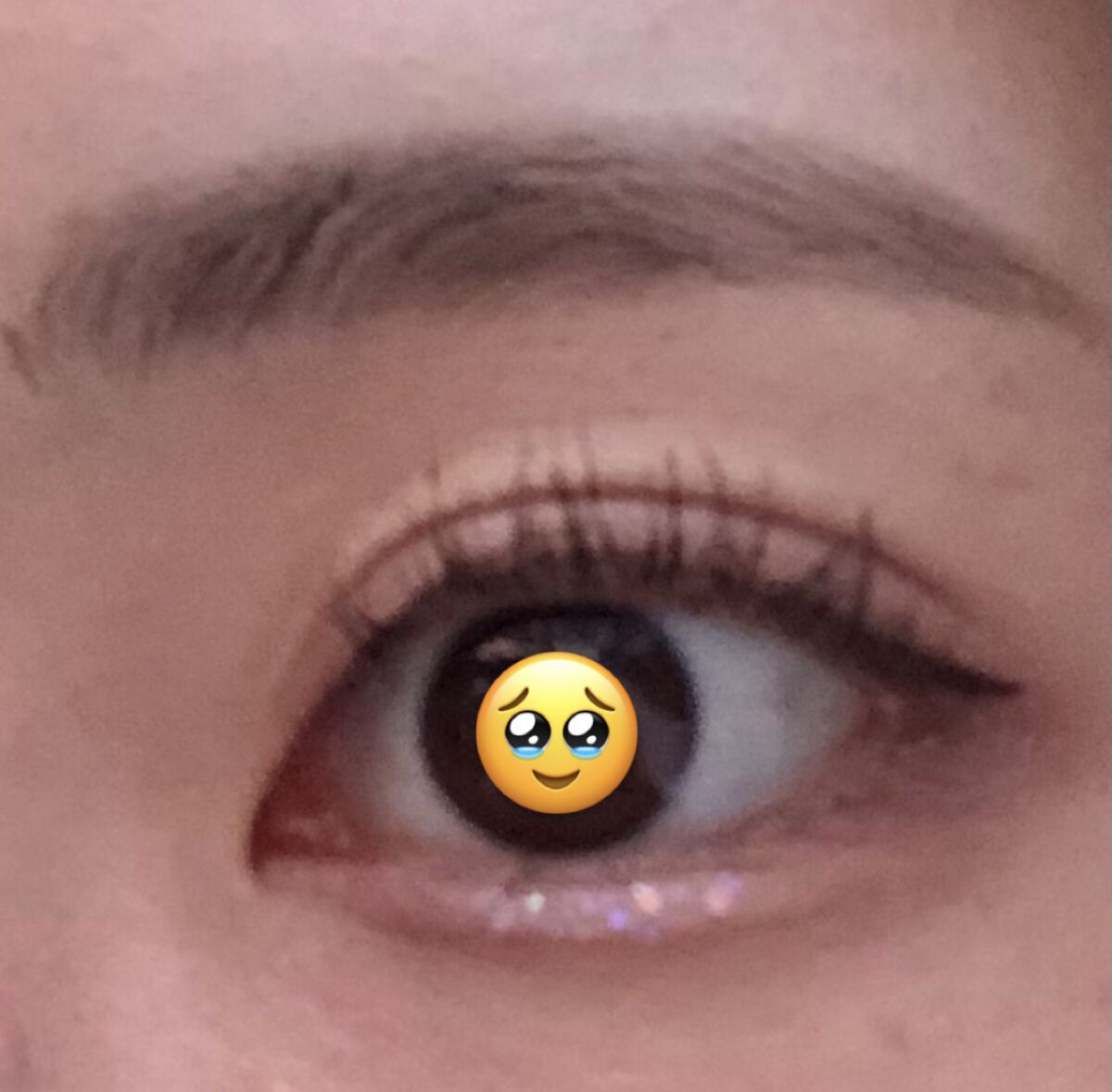 「塗るつけまつげ」自まつげ際立てタイプ/デジャヴュ/マスカラを使ったクチコミ（1枚目）