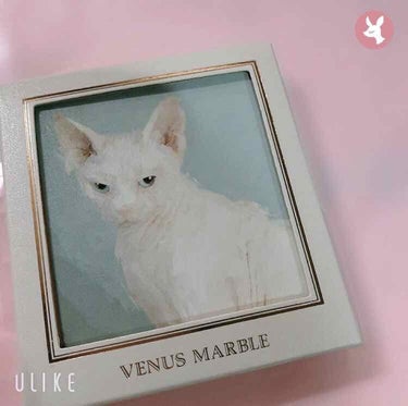 Venus Marble アイシャドウキャットシリーズ/Venus Marble/パウダーアイシャドウを使ったクチコミ（1枚目）