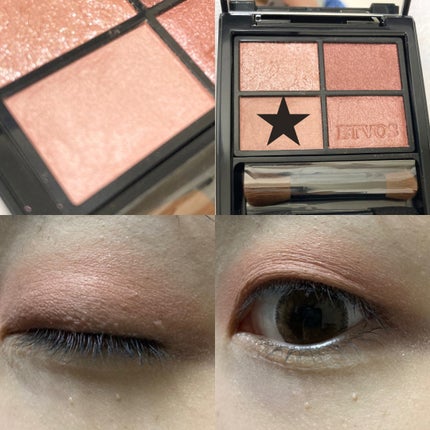 ミネラルクラッシィシャドー/エトヴォス/アイシャドウパレットを使ったクチコミ(4枚目)