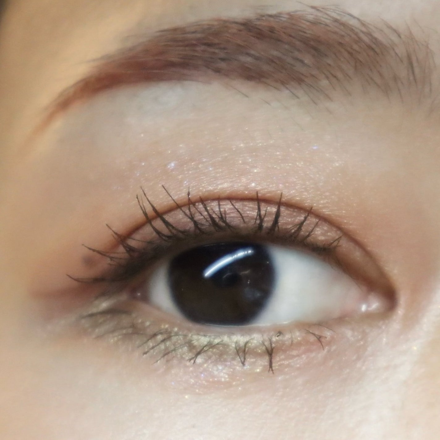 THREE スターゲージング アイシャドウクアッド/THREE/アイシャドウパレットを使ったクチコミ(5枚目)