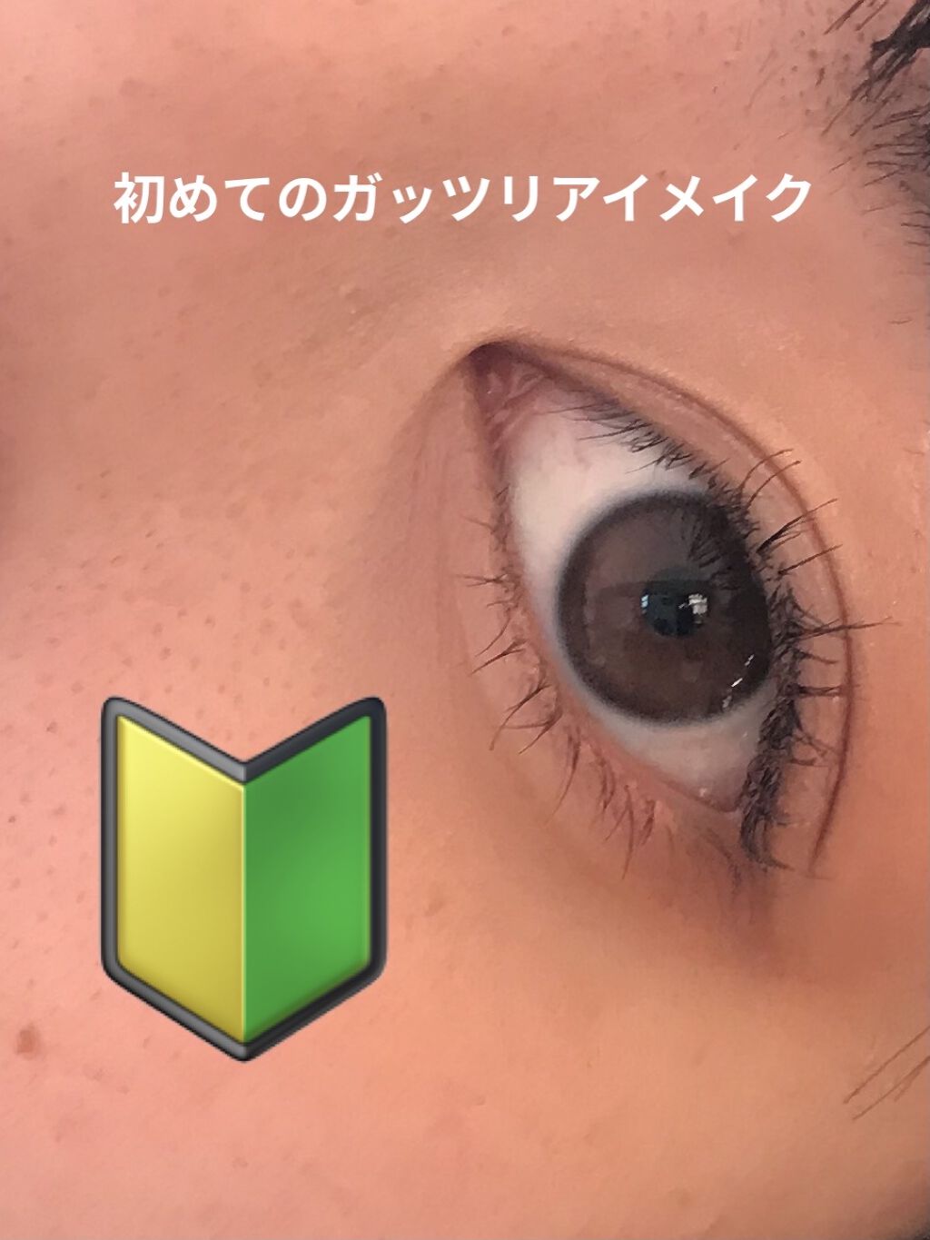 トリプルシャドウ/MISSHA/アイシャドウパレットを使ったクチコミ（1枚目）