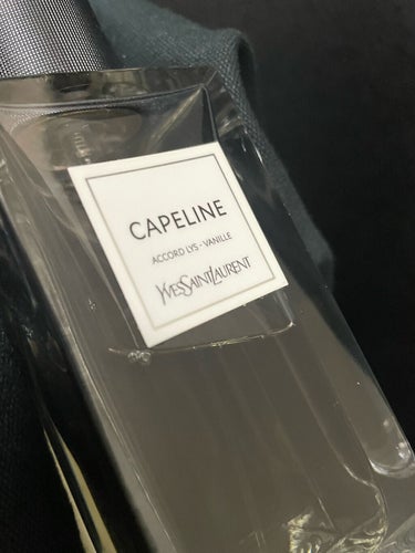 ル ヴェスティエール デ パルファム カプリーヌ/YVES SAINT LAURENT BEAUTE/香水(レディース)を使ったクチコミ（1枚目）