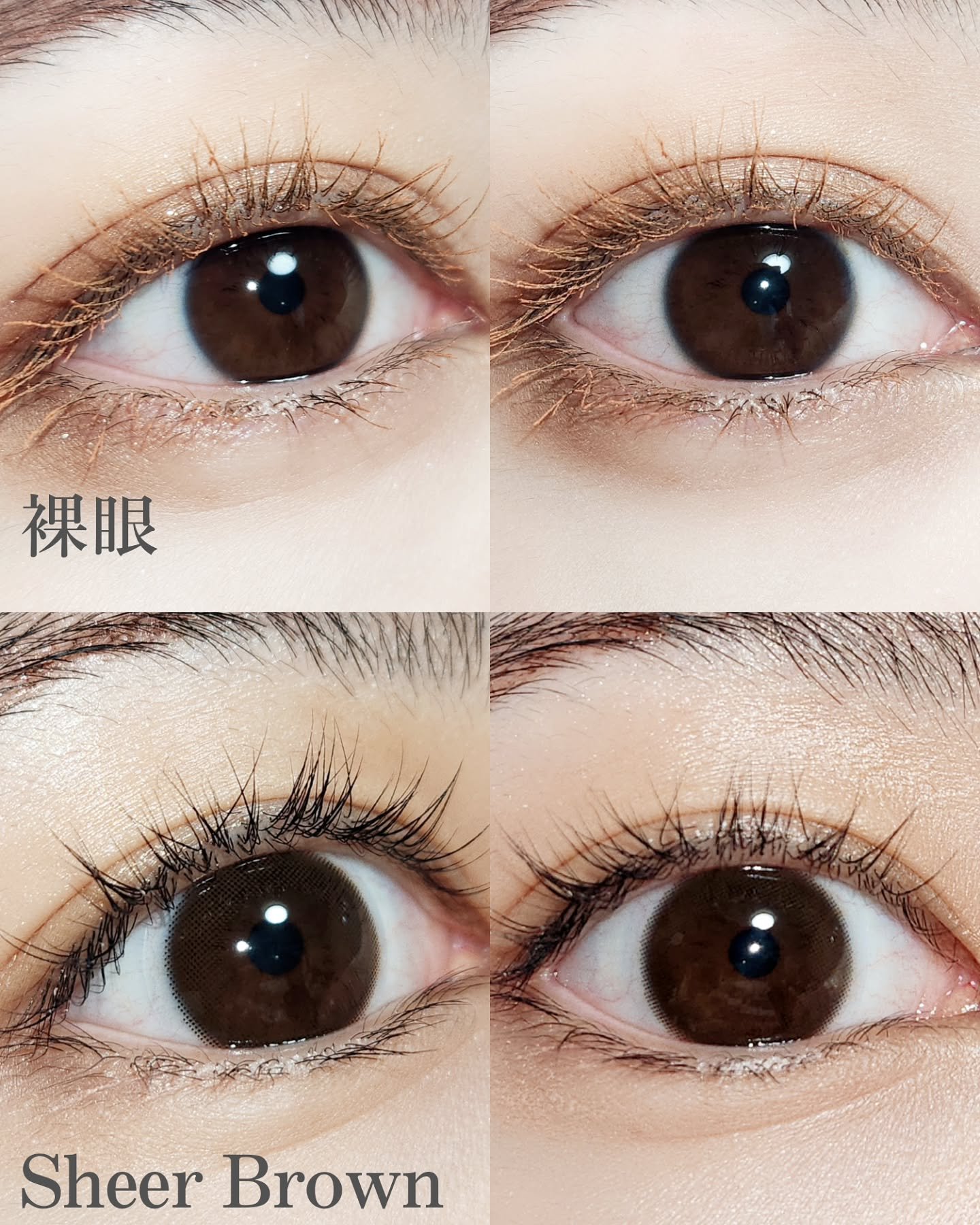 feliamo 1day シアーブラック/feliamo/ワンデー（１DAY）カラコンを使ったクチコミ（2枚目）