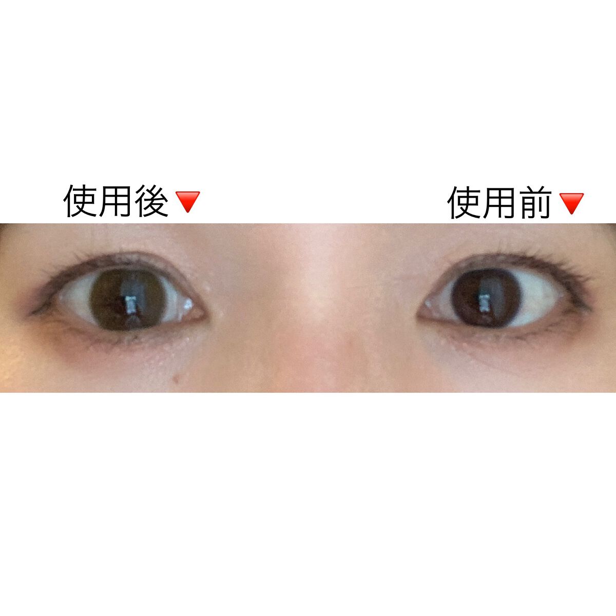 FLANMY 1day キナコロール/FLANMY/ワンデー（１DAY）カラコンを使ったクチコミ（2枚目）