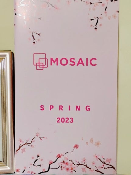 MOSAIC ボックス/MOSAIC/その他キットセットを使ったクチコミ(1枚目)