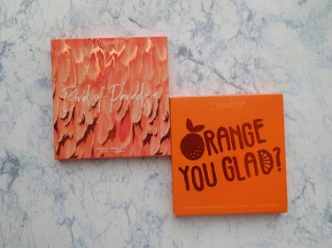 ORANGE YOU GLAD/ColourPop/アイシャドウパレットを使ったクチコミ（1枚目）