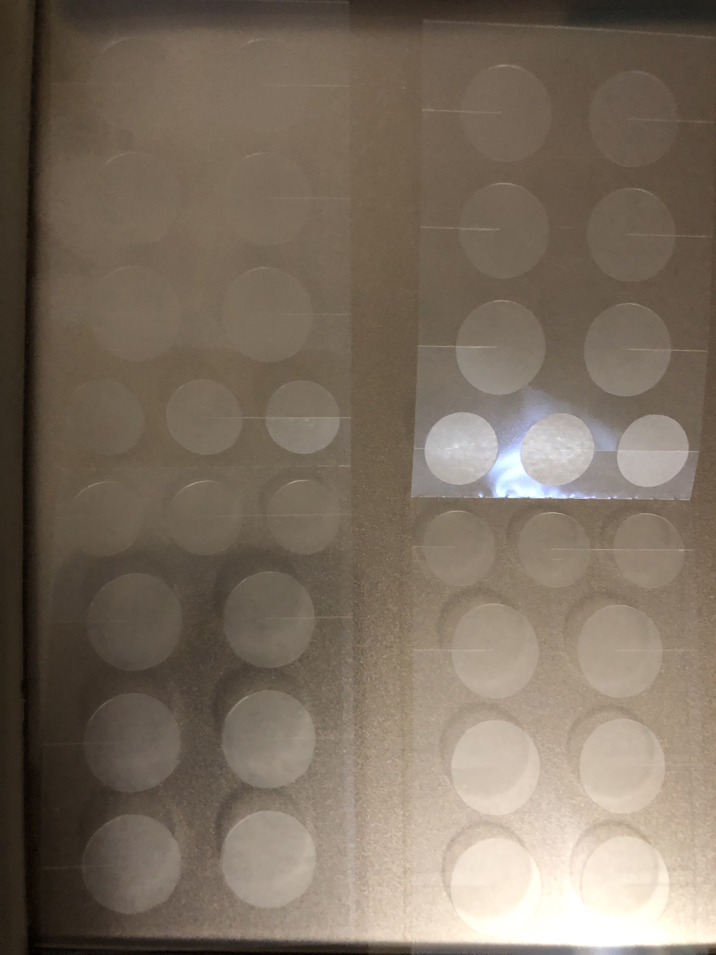 極薄透明パッチ nikipa!/金冠堂/にきびパッチを使ったクチコミ（2枚目）