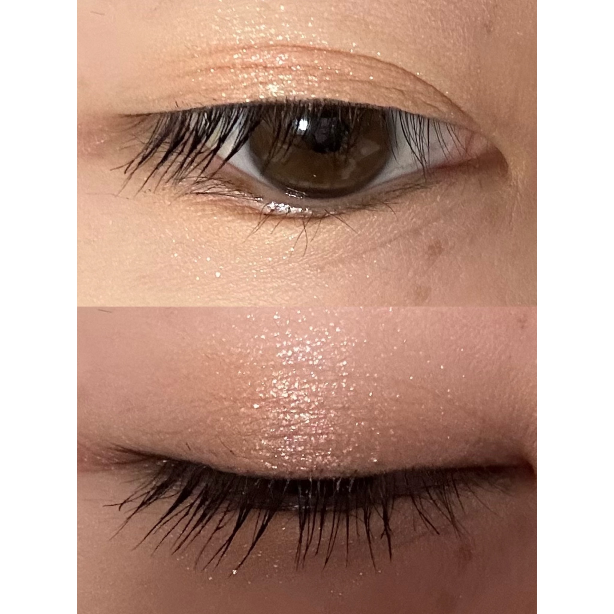 ブラーフィニシュシャドウパレット/Dinto/アイシャドウパレットを使ったクチコミ（2枚目）