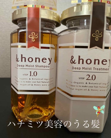 ディープモイスト シャンプー1.0／ヘアトリートメント2.0/&honey/シャンプー・コンディショナーを使ったクチコミ（1枚目）