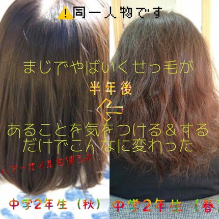 コンパクトスタイラー/TANGLE TEEZER/ヘアブラシを使ったクチコミ(1枚目)