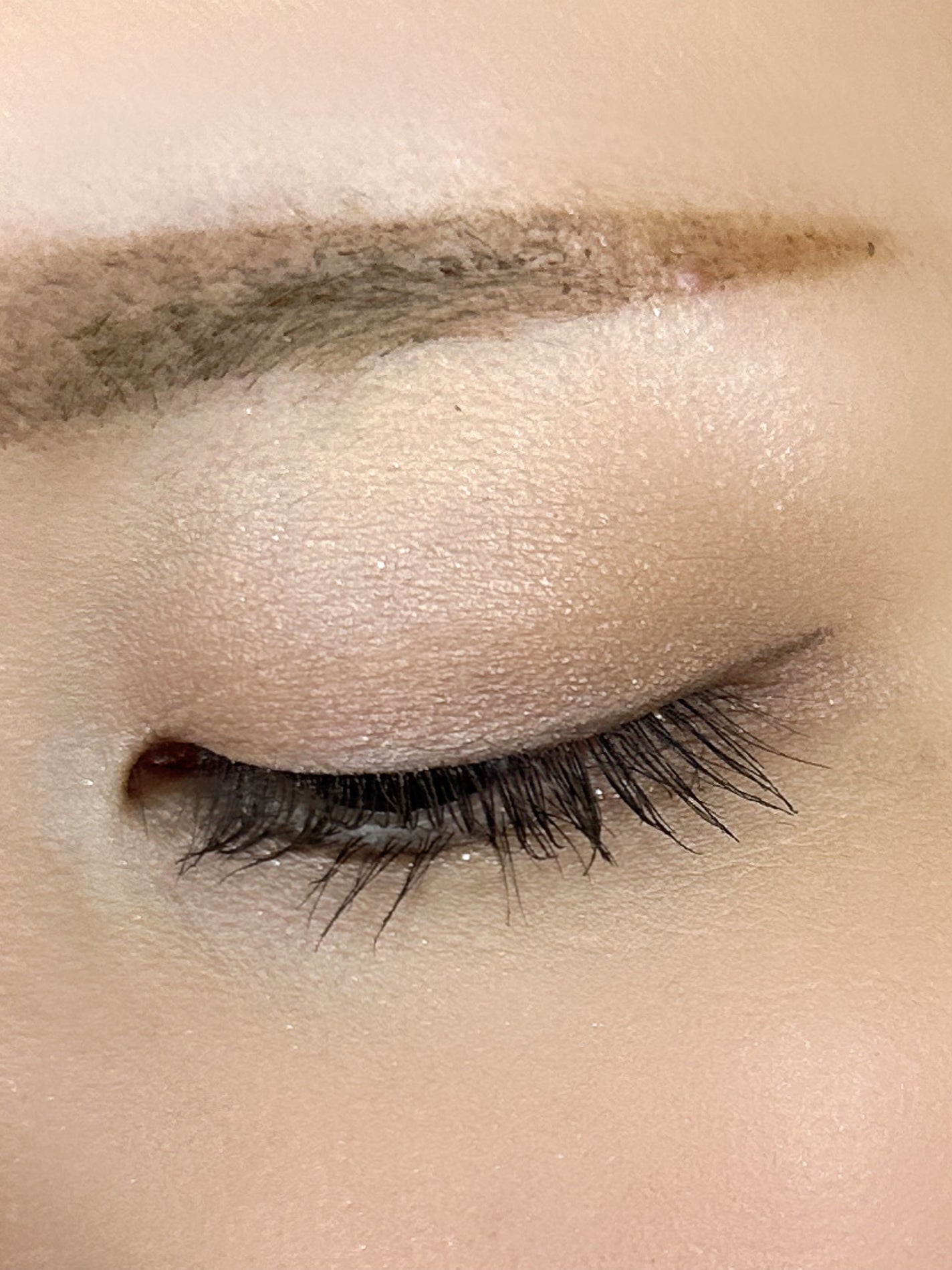 スキンモデリングアイズ/LUNASOL/アイシャドウパレットを使ったクチコミ(4枚目)