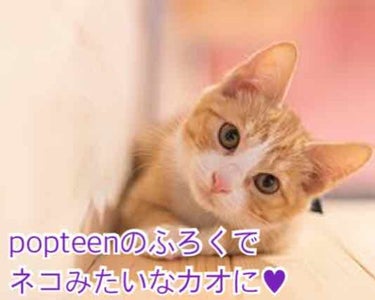 popteenのふろくでネコ顔になろうฅ^._.^ ฅ
      皆さん、少し生意気っぽくて可愛いネコの顔に憧れませんか？
私は憧れます!!←黙れ
  てことで、popteenの付録のコスメで！その夢