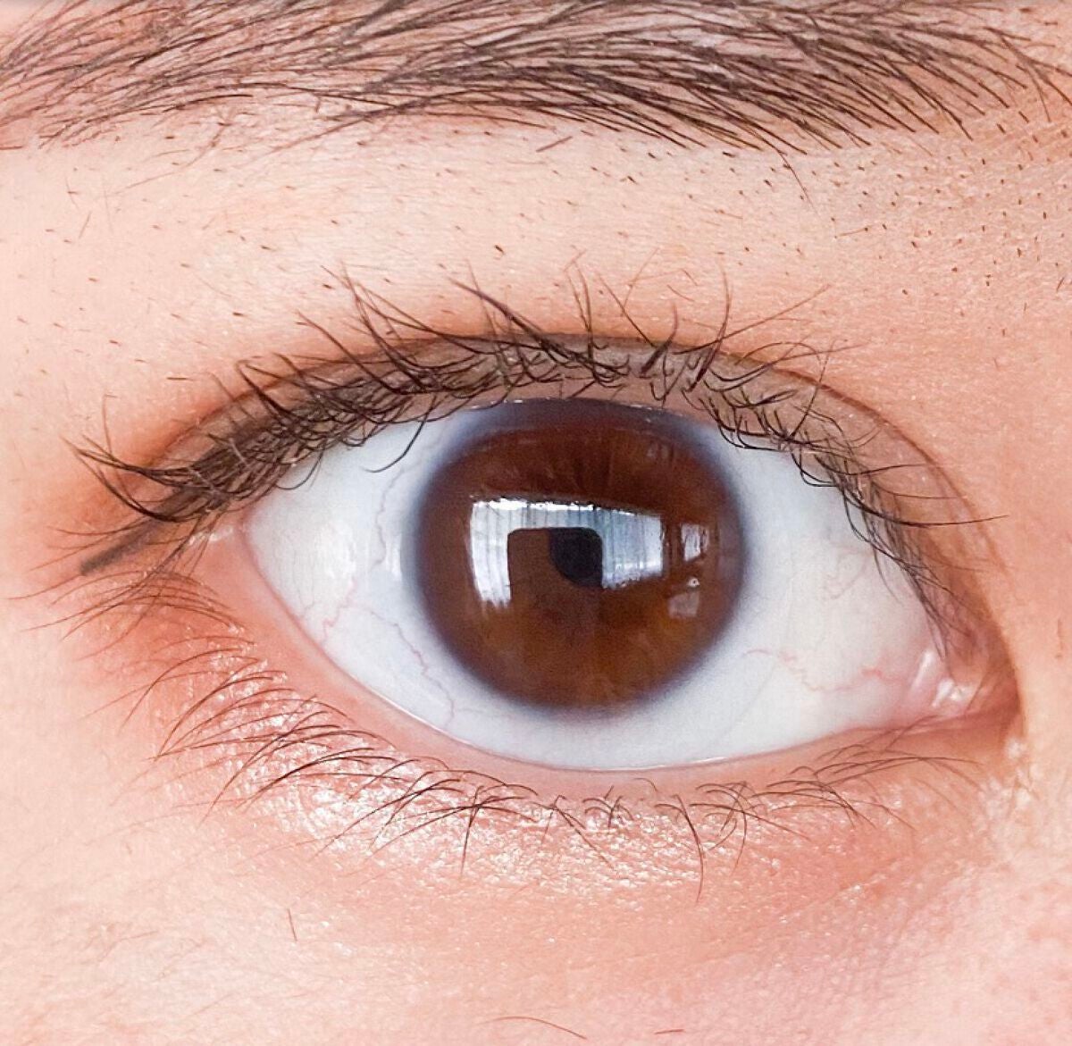 クイックラッシュカーラー/キャンメイク/マスカラ下地を使ったクチコミ(2枚目)