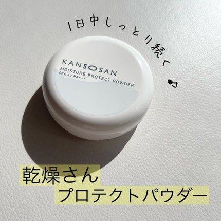 乾燥さん 保湿力プロテクトパウダー/乾燥さん/プレストパウダーを使ったクチコミ(1枚目)