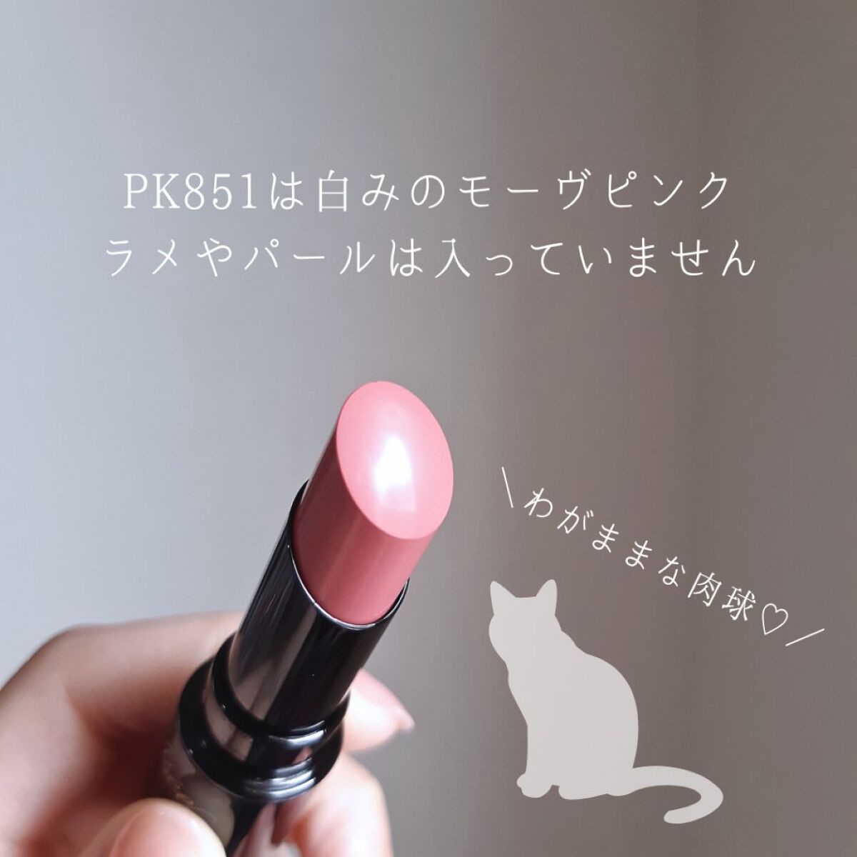 ネンマクフェイク ルージュ/Visée/口紅を使ったクチコミ(3枚目)