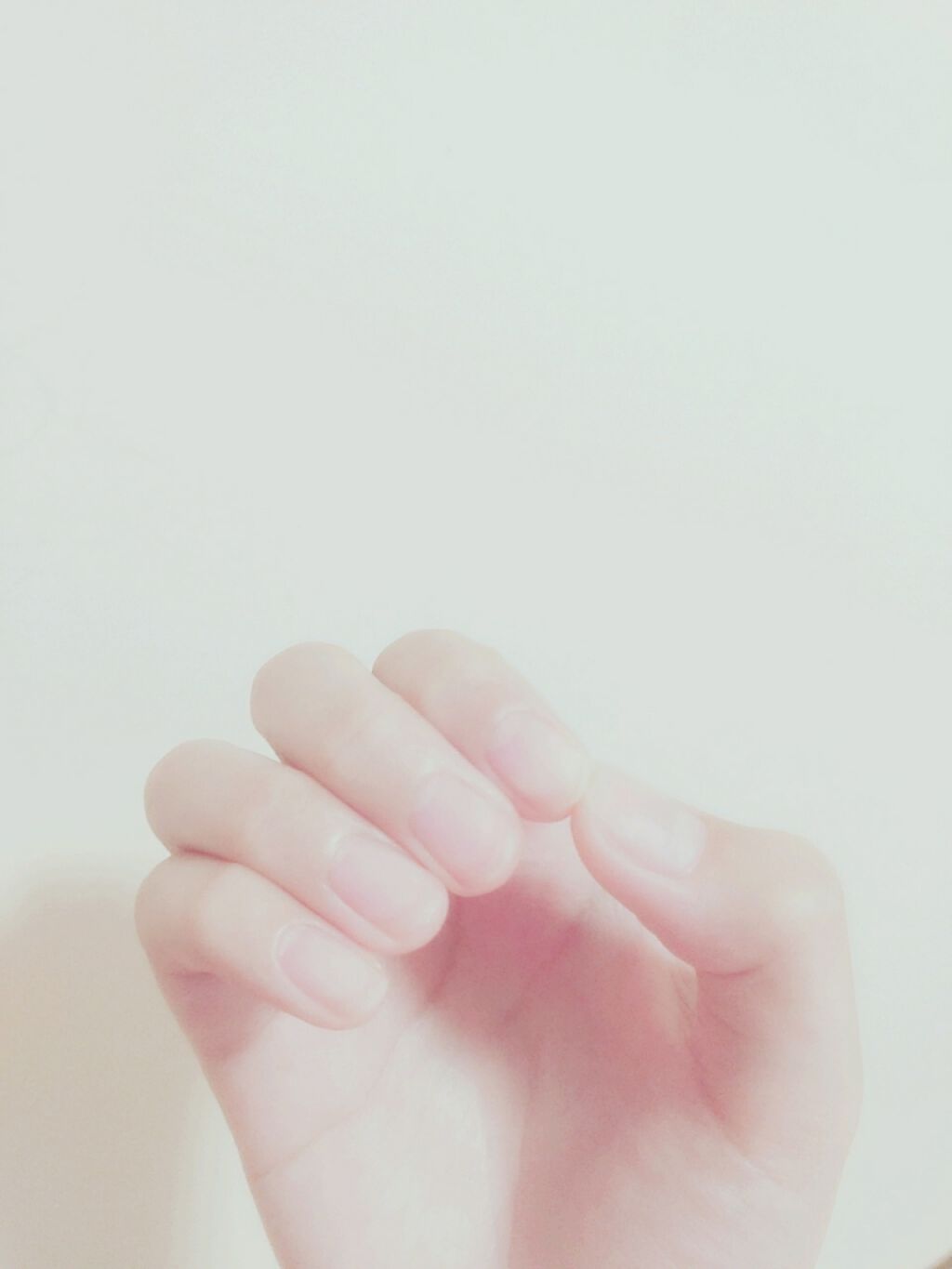 ヴァーベナ アイスハンドクリーム/L'OCCITANE/ハンドクリームを使ったクチコミ（2枚目）