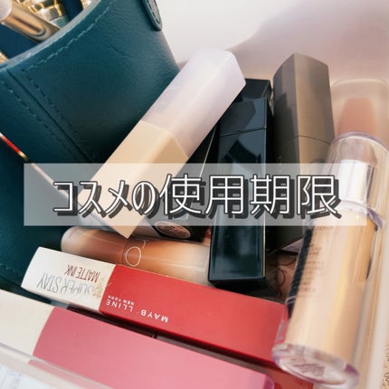 eco soul カーニバルブラッシュ/the SAEM/パウダーチークを使ったクチコミ(1枚目)