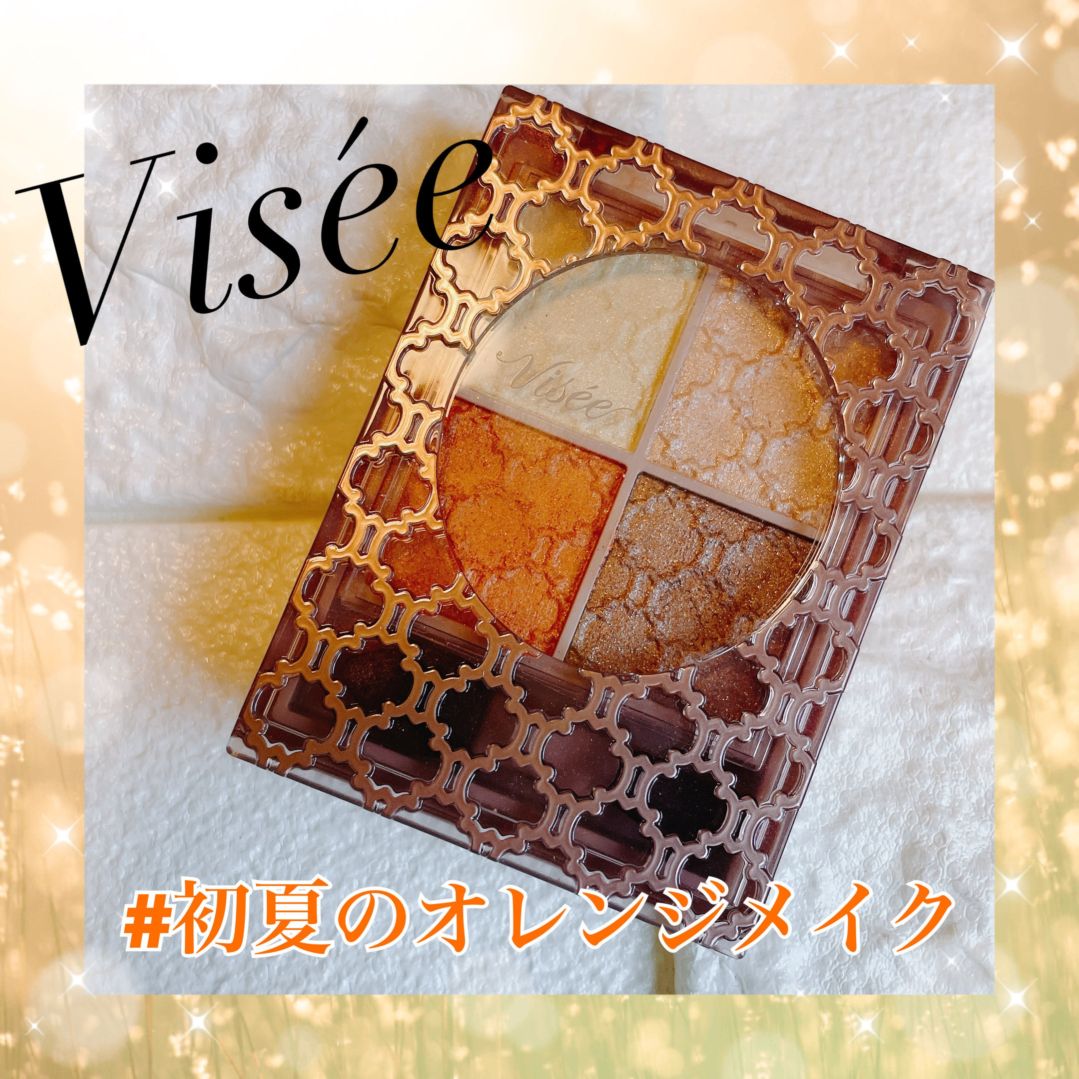 グロッシーリッチ アイズ N/Visée/アイシャドウパレットを使ったクチコミ（1枚目）