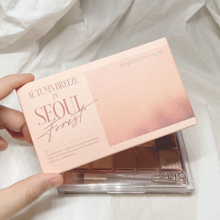 プロ アイ パレット/CLIO/アイシャドウパレットを使ったクチコミ(2枚目)