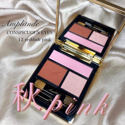 コンスピキュアス アイズ/Amplitude/アイシャドウパレットを使ったクチコミ(1枚目)