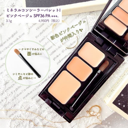 ミネラルコンシーラーパレット/エトヴォス/パレットコンシーラーを使ったクチコミ(4枚目)