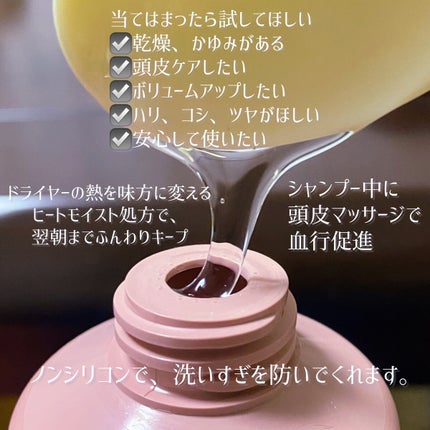 モイストアップ ジェル シャンプー/トリートメント/fuettarich (フエッタリッチ)/サロンシャンプーを使ったクチコミ(3枚目)