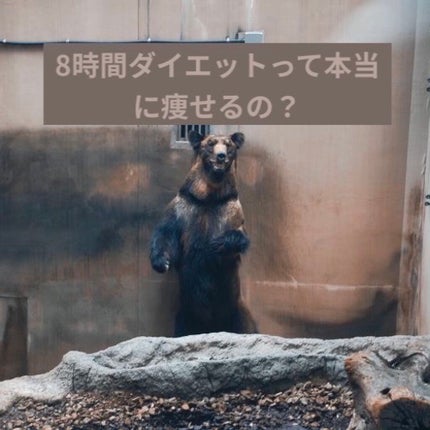 寝ながらメディキュット フルレッグ/メディキュット/着圧ソックス・レギンスを使ったクチコミ(1枚目)